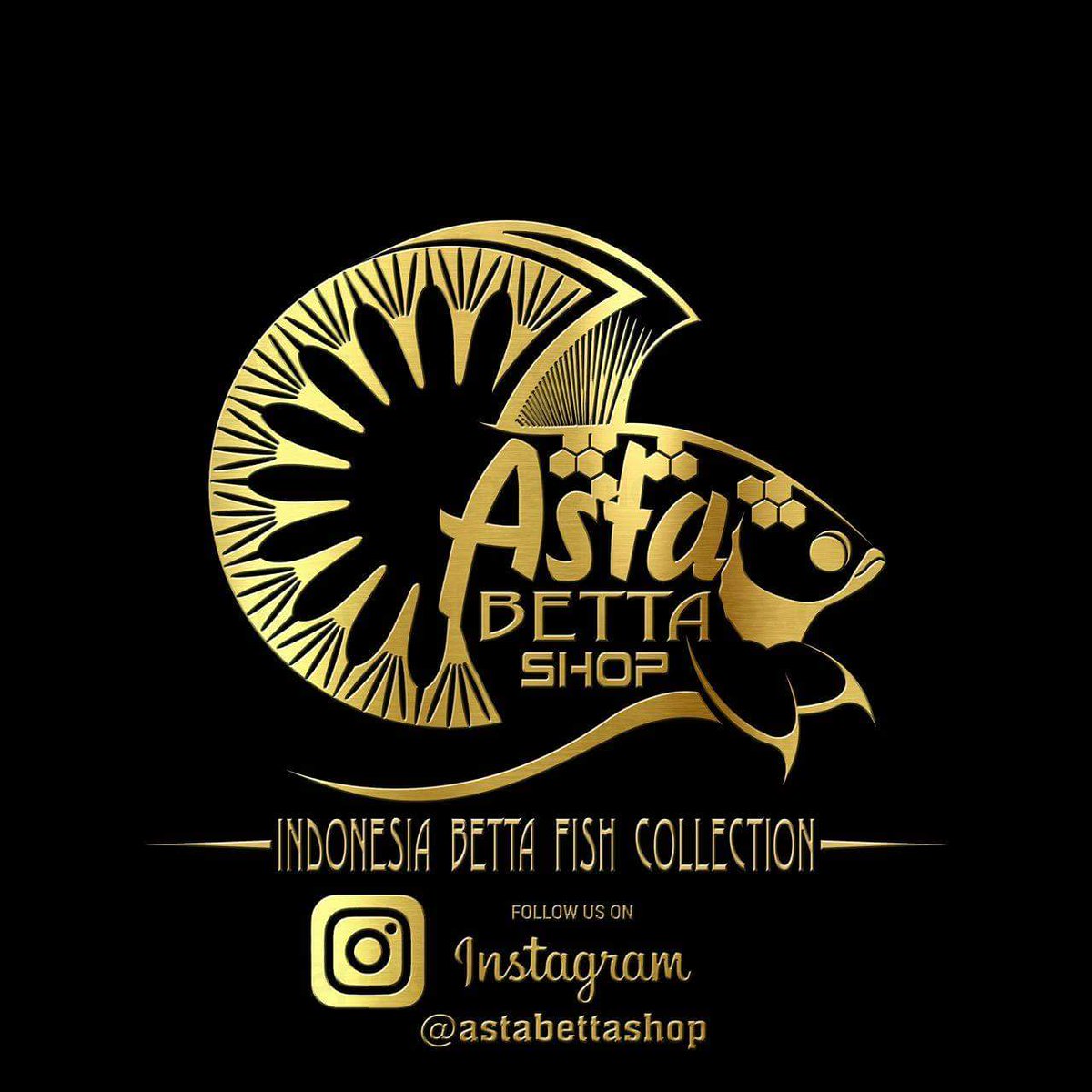 101+ Gambar Logo Ikan Cupang Hias Terbaru