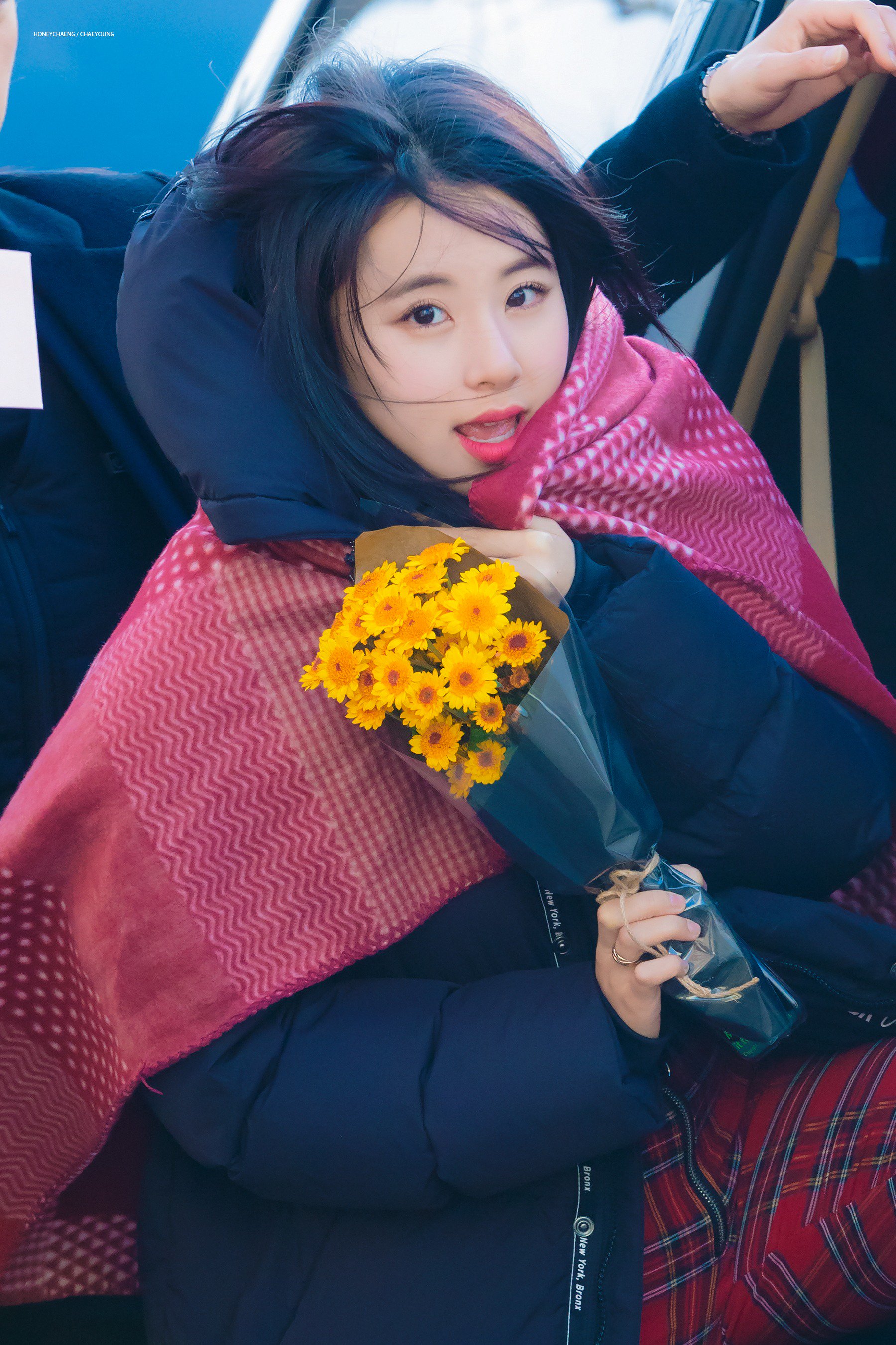 D13IverU0AEusts.jpg:orig