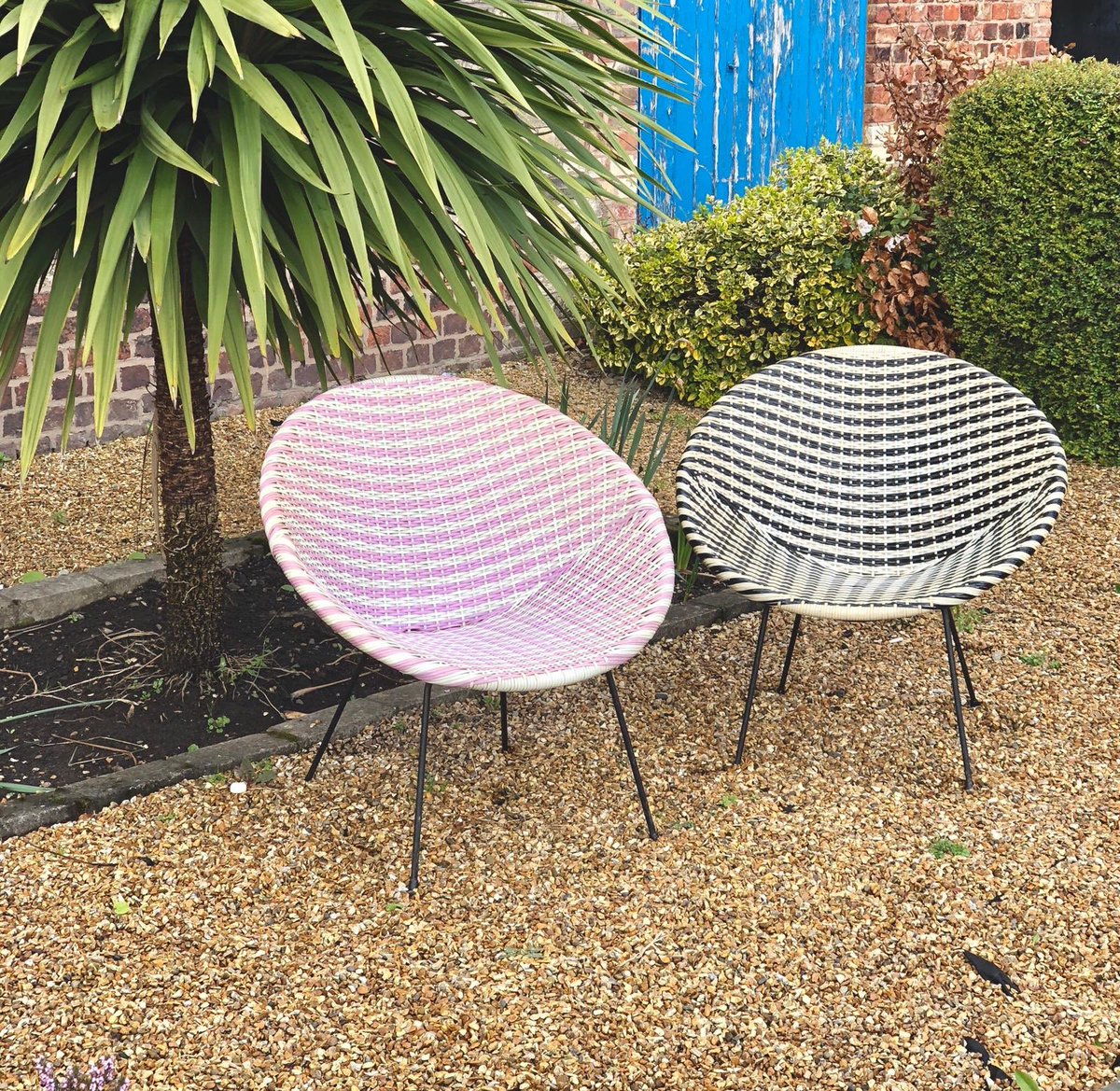 emslieshop's tweet photo. Suns out!!! These satellite chairs are the perfect addition to your garden decking or a pretty chair for your bedroom. £60 each or two for £105 Bargain! #satellitechair #bucketchair #vintage #altrincham #altymarket https://t.co/BmFE8NUFjA