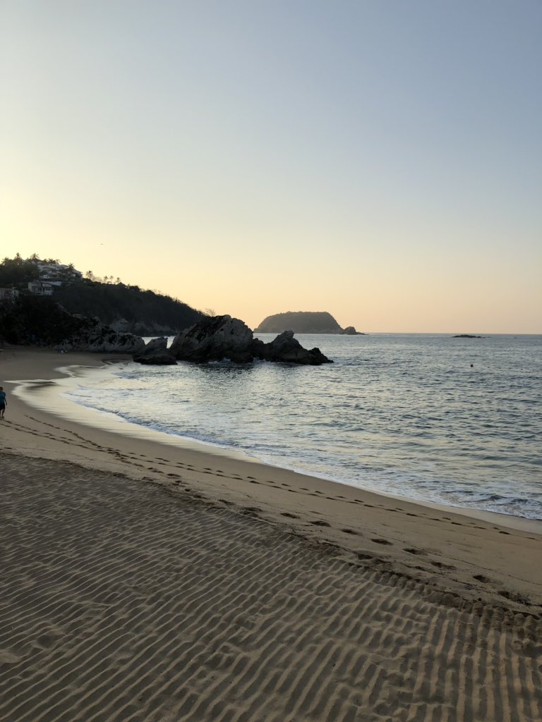ms_etherington's tweet photo. Last morning of Mexican sunshine on our faces ☀️🌴🇲🇽 #MarchBreak2019 #vacay #earlymornings #hotsun #lotsofsunscreen #Huatulco #Dreams #Mexico https://t.co/WgtDMzkIdP