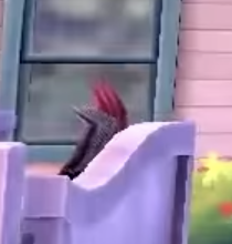 Crawford_Paton's tweet photo. What is that? #pokemon #pokemonswordandshield #pokemongeneration8 https://t.co/zw6u1l1kPT