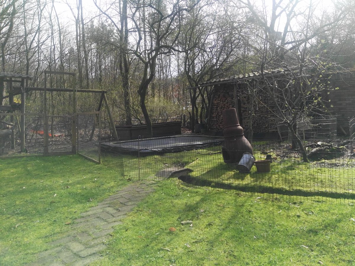 Dorien te Pas tweet media