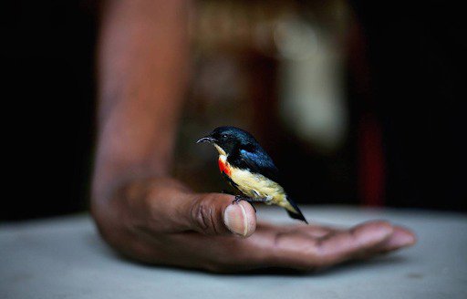 At Rural Odyssey, our first and foremost value is to Care for the Community of Life with understanding, love and compassion. To respect Earth and life in all its diversity. 

Join us in securing the Earth’s bounty &amp; beauty!

#ruralodyssey #ruraltourism 

Image Credits: Sakhi