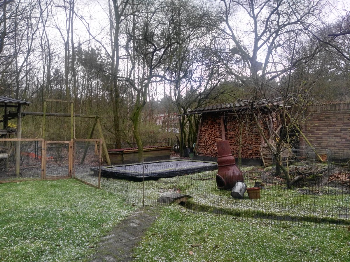 Dorien te Pas tweet media