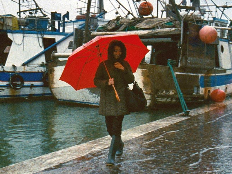 CurzonCinemas's tweet photo. Europe, We Love You.
The new #Curzon12 collection on Curzon Home Cinema brings together some our favourite European films, from Claire Denis' Beau Travail, to Michael Haneke's The Seventh Continent. All free to watch for Curzon Members 🇪🇺 https://t.co/uvchruYxCZ https://t.co/WXv4yqGGPM