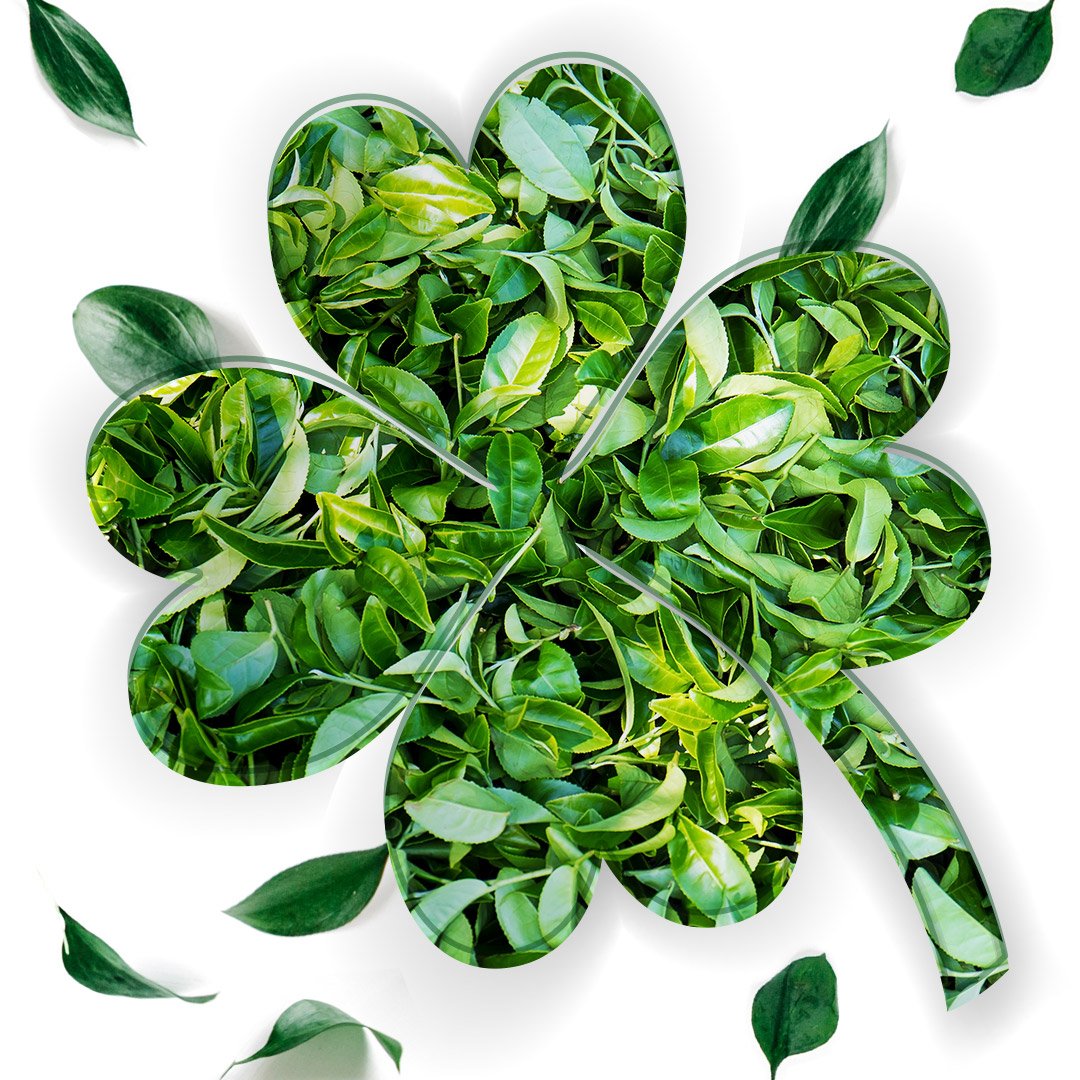 GoodEarthTea's tweet image. Make your own luck. #StPats