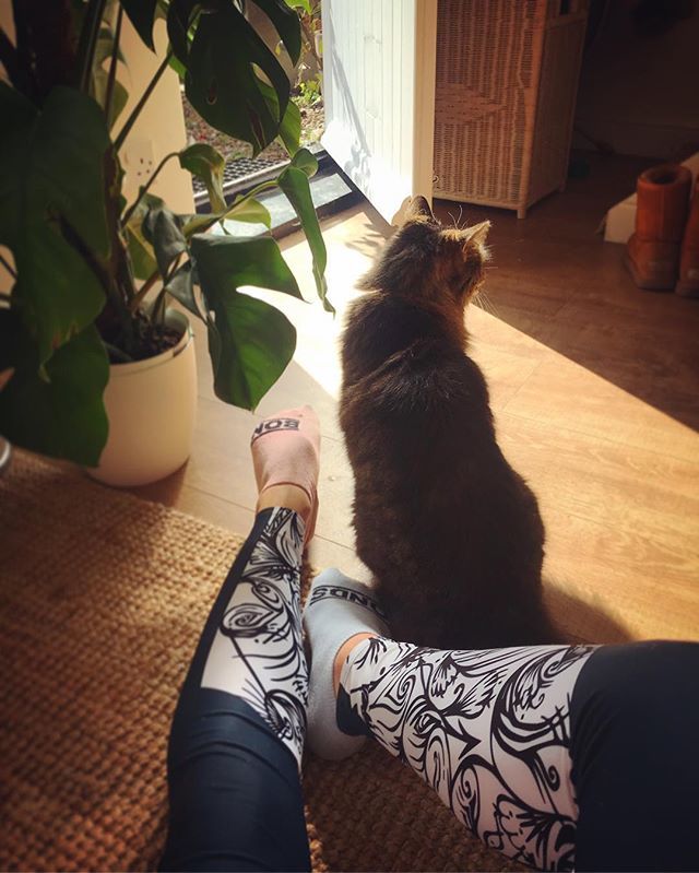 Shake_Fit_Up's tweet photo. Neighbour’s come to check out my new leggings! @league_collective I LOVE THEM!!! Thank you for designing and producing such an amazing product that is as much ethical and environmentally friendly as they feel and look awesome! 🤩 #leaguecollective #sp… https://t.co/AnZmt41kvt https://t.co/UQsPz1kp2d