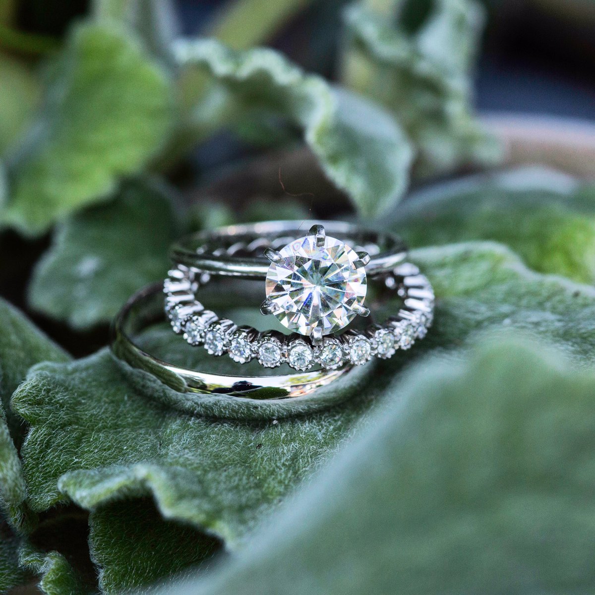 🍀💍🌿 Bringing a little green and maybe a little #Irish to an otherwise drab & dreary day... #happystpatricksday!
📷 @fornearphoto
.
.
.
.
#wedding #weddingphotographer #weddingring #minnesotabride #minnesotawedding #bride