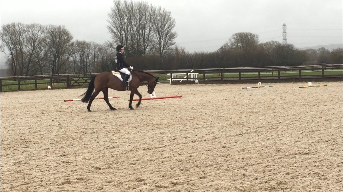 AwShowjumper's tweet photo. Combined Training Competition at Myerscough yesterday. Rochdale Riding Club put 6 teams forward with 5 being placed! @My_Equine @BRC_Official #dressage #showjumping #CombinedTraining https://t.co/3JQAHM8DPX