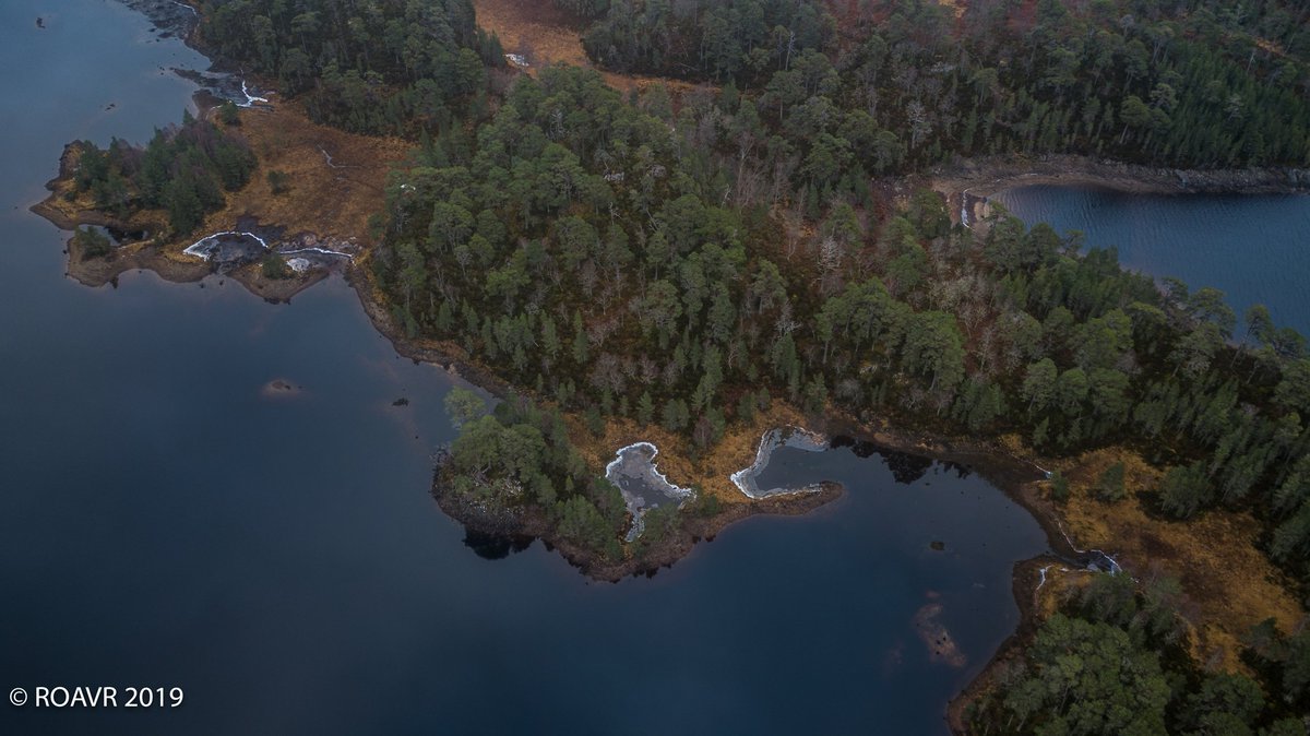 ROAVR_UAS's tweet photo. A moody Glen Affric in January 2019, just look at those textures.  
https://t.co/9A40LB20oF
#droneoperator #roavr #Scotland #FilmScotland #Production #GTC #BECTU #GlenAffric #InstaScotland #VisitScotland https://t.co/4DchYZ1Wfs