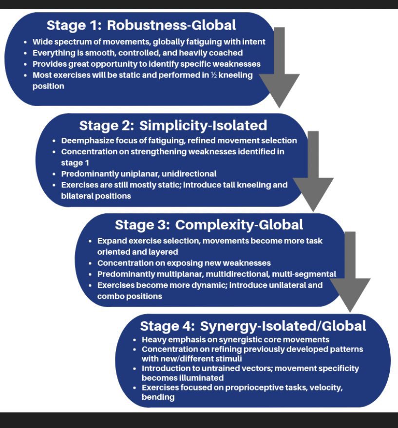 organogenesis in development