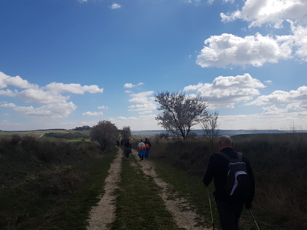 Gran mañana en <a href="/ABCD_Duenas/">ABCD</a> con la II edición #MiradasDelVino en la marcha hasta la Biblioteca del monte con cata final de vino <a href="/DOCigales/">D.O. Cigales</a> por <a href="/raulesfer/">Raúl Escudero Fernán</a>. Paisaje y vino unidos junto a Ruta de achozos y GR-296. <a href="/rutasvinoespana/">Rutas Del Vino | ESP</a> <a href="/CyLesVida/">Turismo Castilla y León</a> <a href="/TurismoPalencia/">Turismo Palencia CyL</a> #HaciendoCigales