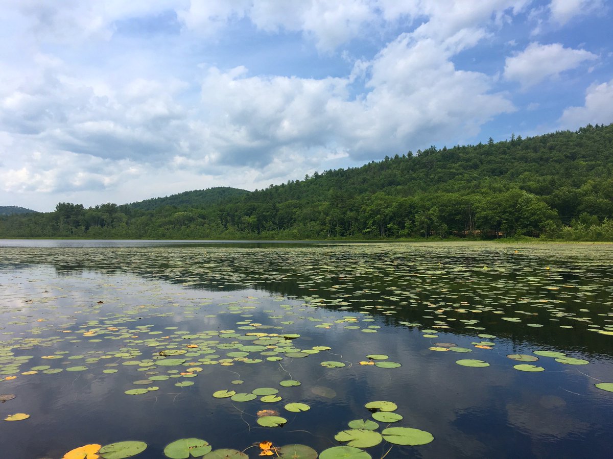 ☘️Happy St. Patrick’s Day!! 🍀

Why not use today as a reason to donate to Free to Be UK to help us send a few incredibly talented young people from the UK summer camp in this green paradise? 🌲🌳🌎 

Head over to our Go Fund Me to make a donation!🤗
gofundme.com/free-to-be-uk-…