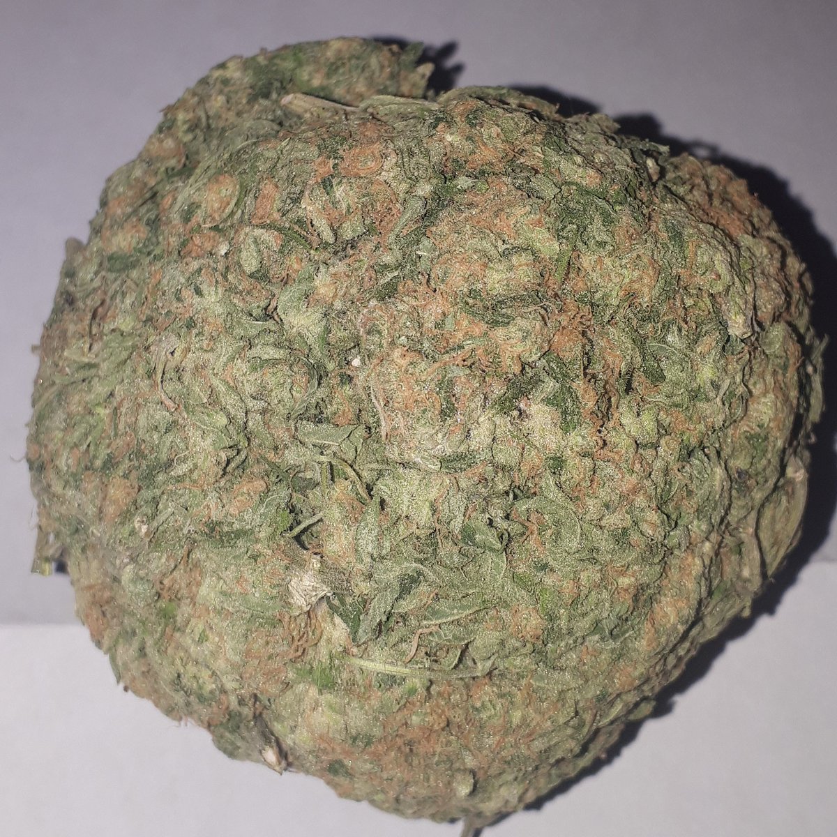 Critical mass 🔥🔥🔥
Dont miss out get yours today 
.
#division1cannabis #medical #cannabis #Canada #toronto #the6ix #growbig #flowers #pictures #4life #hybrid #kush #weed #quality #top #plants #nature #hobby #local #online #shop #highlife #hightimes #growers #weedmaps #bud #grow