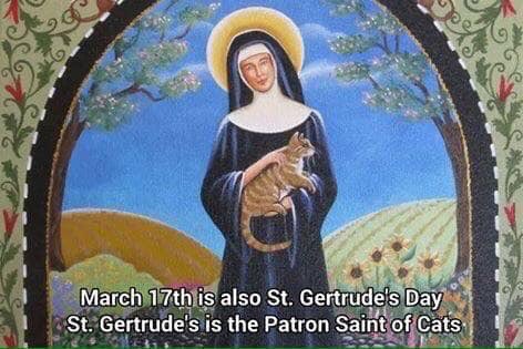 flynnrita149's tweet image. Happy St. Gertrude’s Day! #CatsOfTwitter #catsofinstagram