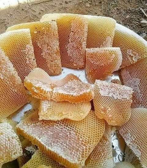 مساء العسل لكل متابعني العسل