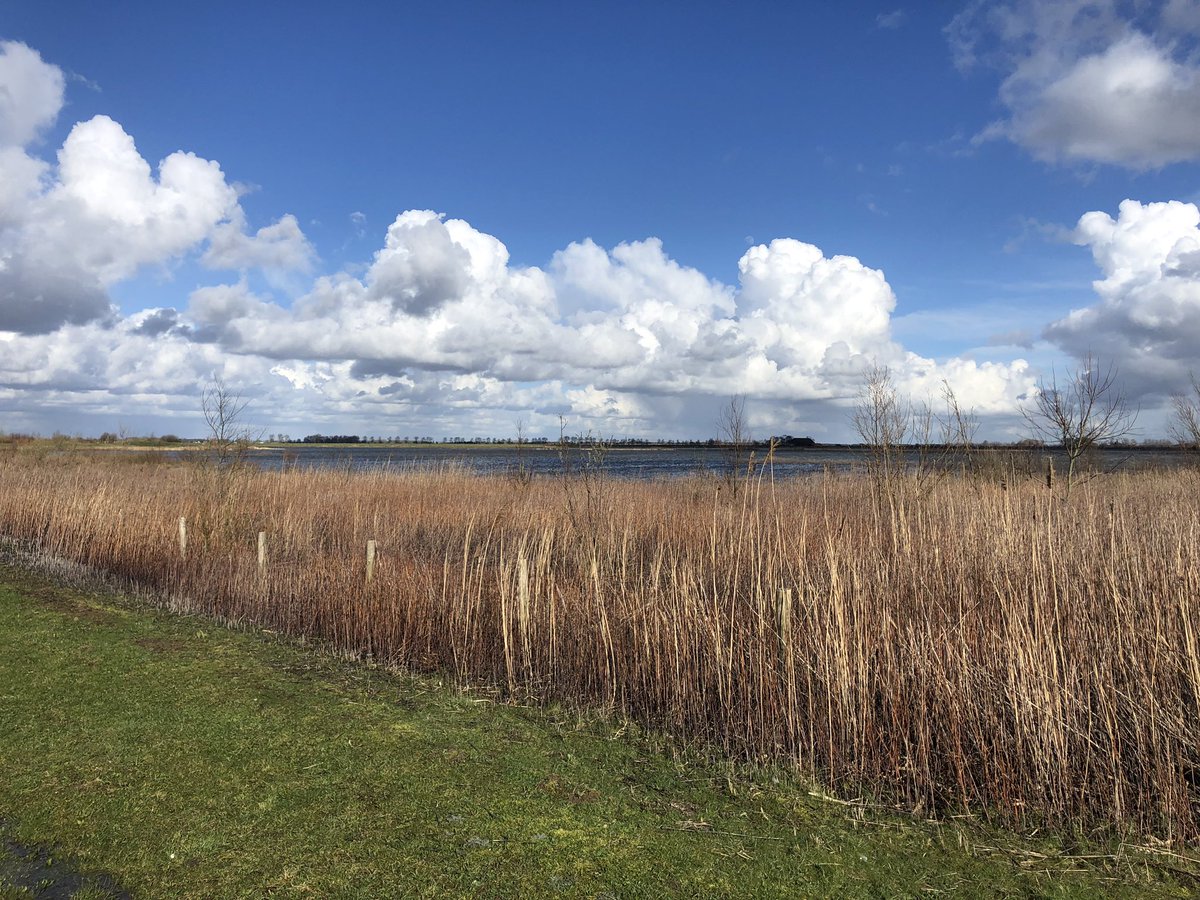 Arjan Grootenboer tweet media