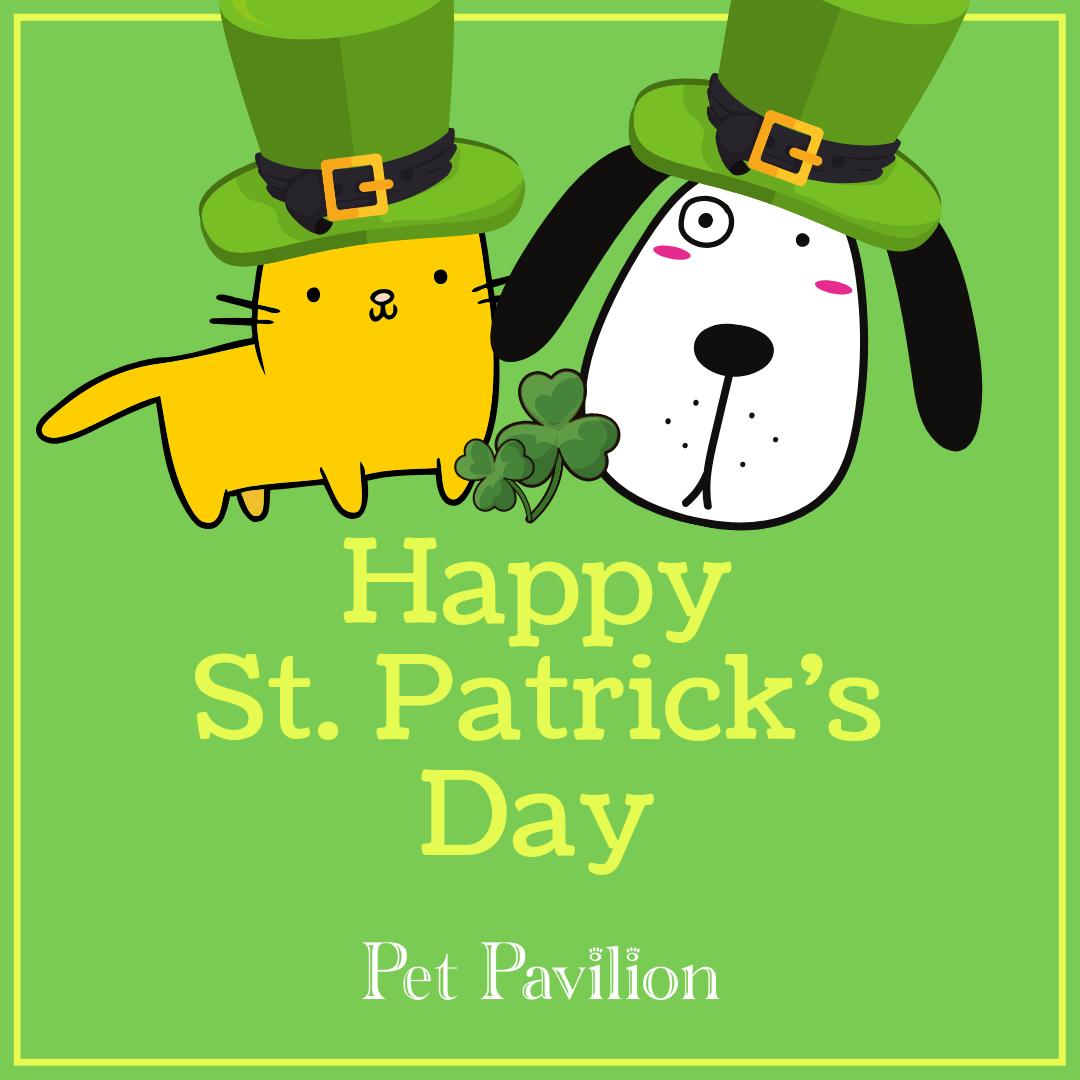 Happy St Patricks Day 🍀