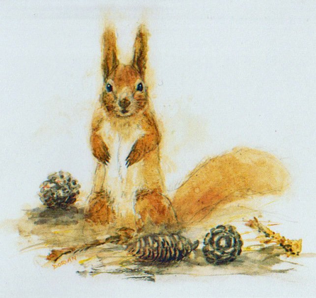 Dorian Pritchard will be selling his artwork at our event next week. Pictures and cards will be available on his stand.