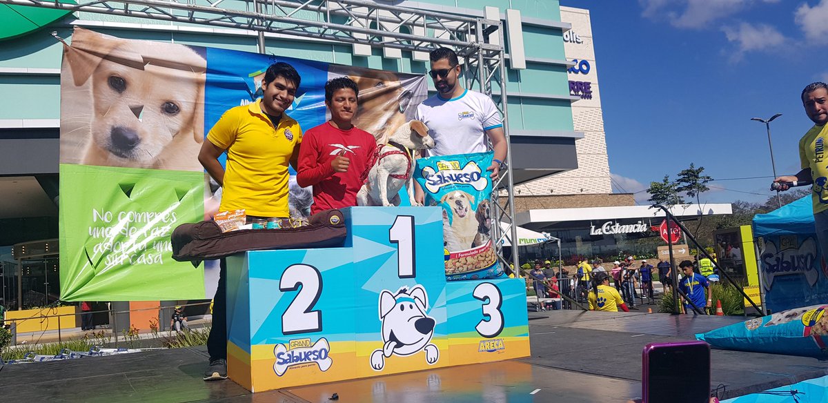 UP_RRPP's tweet photo. Frosty gana primer lugar 6k #PetRun #NaranjoMall recibe premio de @ARCADENOEGT https://t.co/K7qC9l5j0G