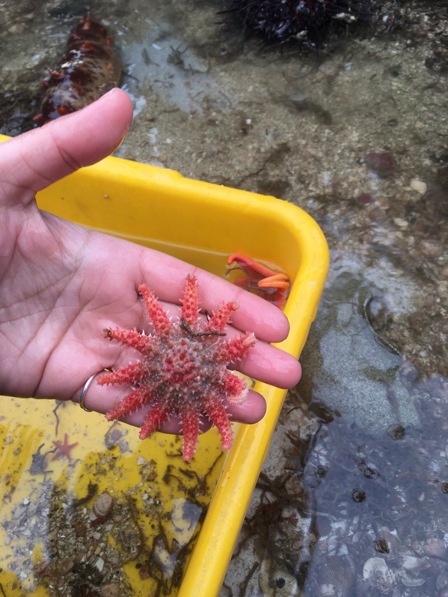 Having a great time learning about teaching biology outside the classroom at BMSC! #QueensEducAbroad