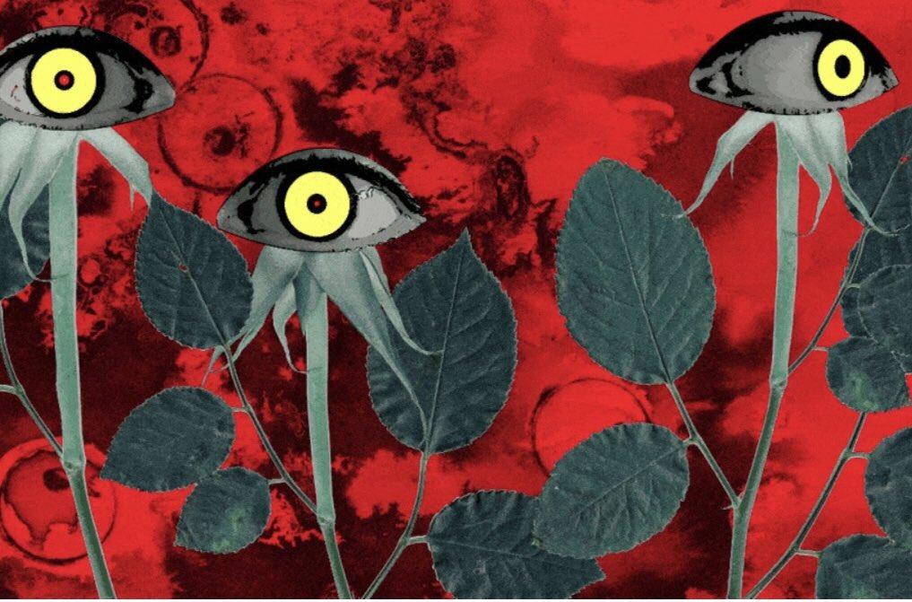 KnownOrigin_io's tweet photo. VOTE BY ‘LIKING’ 👇 this digital artwork Where the Wild Eyes Grow by Ophelia Fu @ophelia_fu -  @knownOrigin.io #creative challenge #auctionity #digital #highres #wild #eyes https://t.co/osbhoNeLBv https://t.co/rgRB9JJf8k