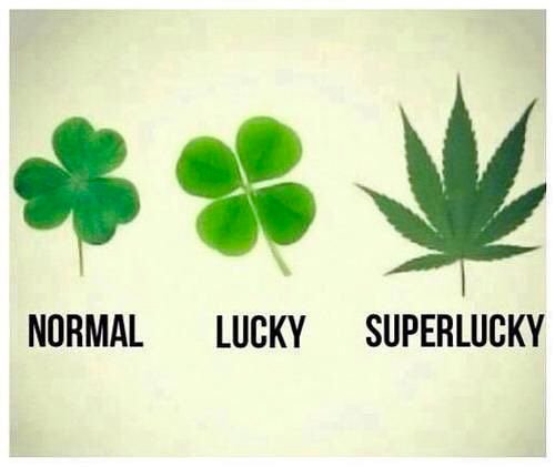 hemptivas's tweet photo. Up all night to get LUCKY π βοΈπβοΈπβοΈπ»Happy St Patrickβs Day!!!
.
.
#saintpatricksday #saintpatricksday #stpattysday #stpattys #cannabisculture #cannabishumor #hemplife #hemplifestyle #cbdlife #hemptivas https://t.co/mbh6uJSg0P