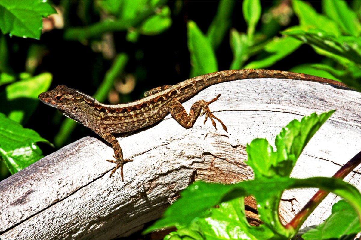 Introduction of Photography: The Universal Language
dslrcamerazoom.com/photography-de…