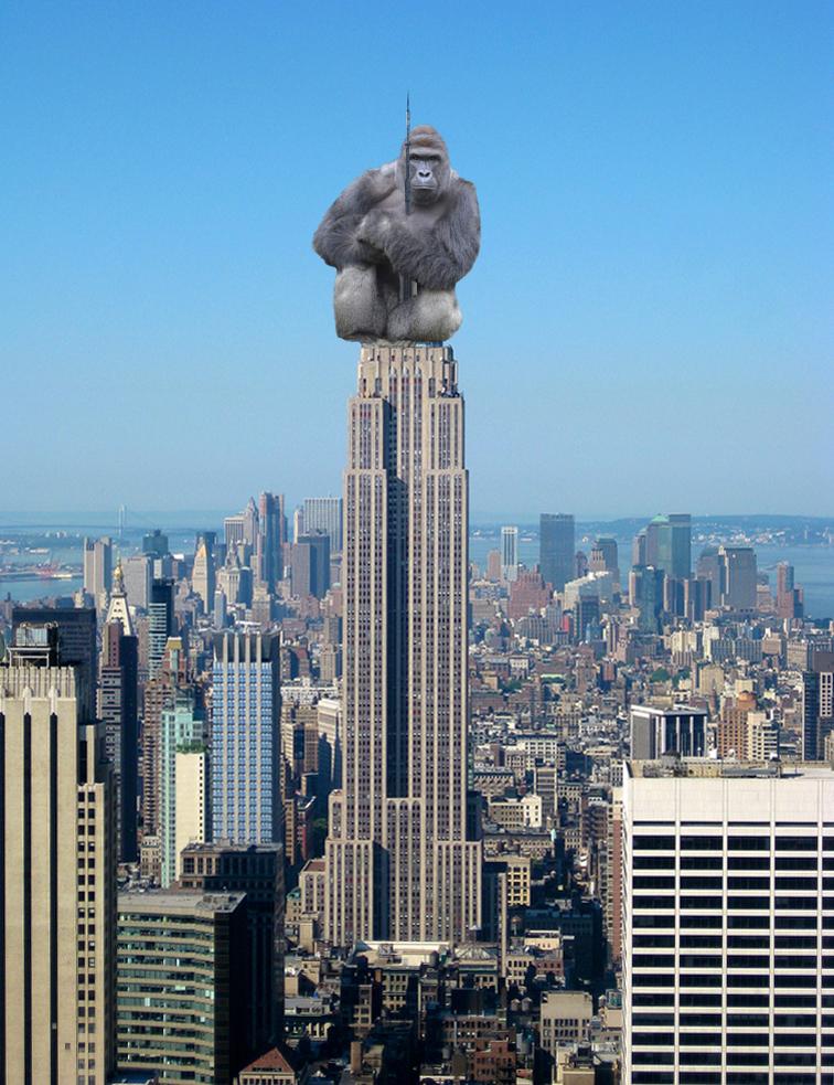 TehBen1604 tweet media