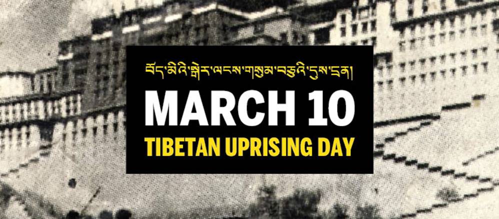Tibetan freedom is already lost with or without regaining our homeland due to the disunity we have within! Very sad. bit.ly/2T9pjPH

#Democracy #TibetanFreedom #TibetanUnity #TibetanYouth #TYC #TibetanYouthCongress #India #China #Shugden #HHDL #friendsofTibet #rangzen