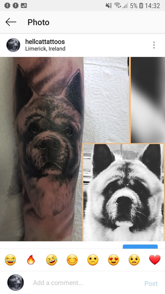 DobTa2s's tweet photo. Bin away for awhile sa8d id give it another go #tattoo #tatttooed #artist #Original #life #lovinglife #hitmeup #Limerick https://t.co/VDdEIpgeAX