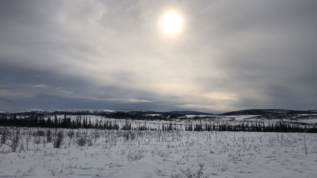 BoiEvan's tweet photo. Saving moose! https://t.co/K1bwWlpqGS