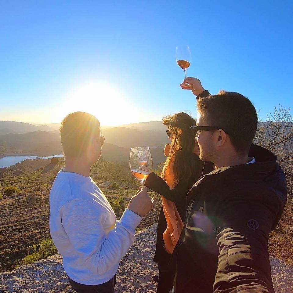 CellerDevinssi's tweet photo. 🍷🍷 Recently we've seen the rise of interest in wine tastings at sunset. Have you booked? https://t.co/TryWCNDZjV 

#Priorat #wine #sunset #winelovers #winetravel #Devinssi https://t.co/SzlCkPSQ8U