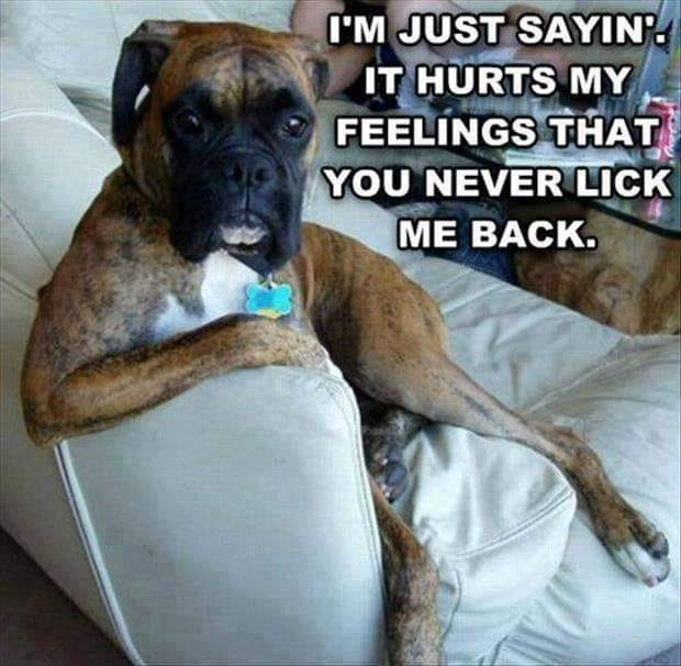 FurkidParent's tweet photo. https://t.co/aqdZ6pDSxH