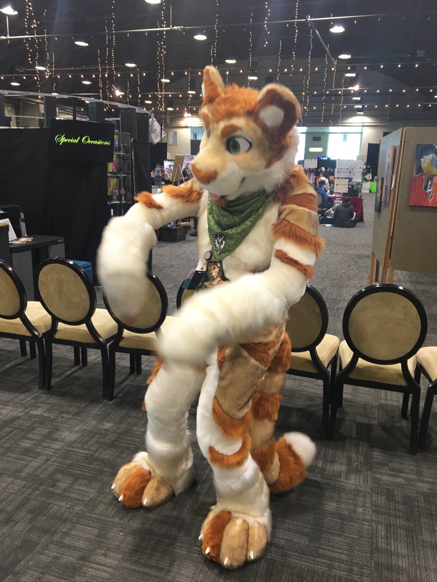 RygarTiger tweet picture