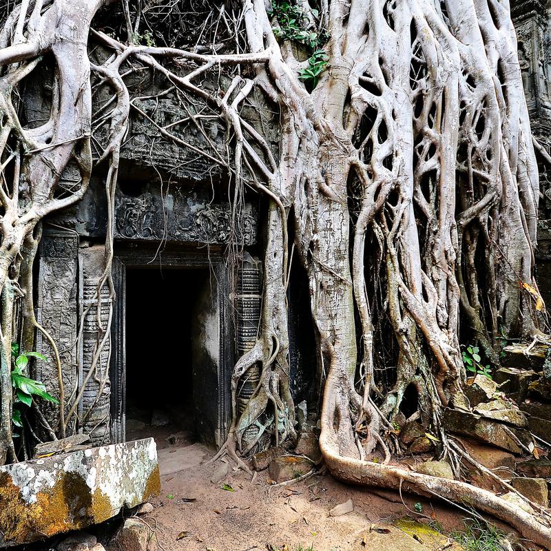 TravelFave's tweet photo. Angkor Wat, Krong Siem Reap, Cambodia https://t.co/8YwLb1BETb