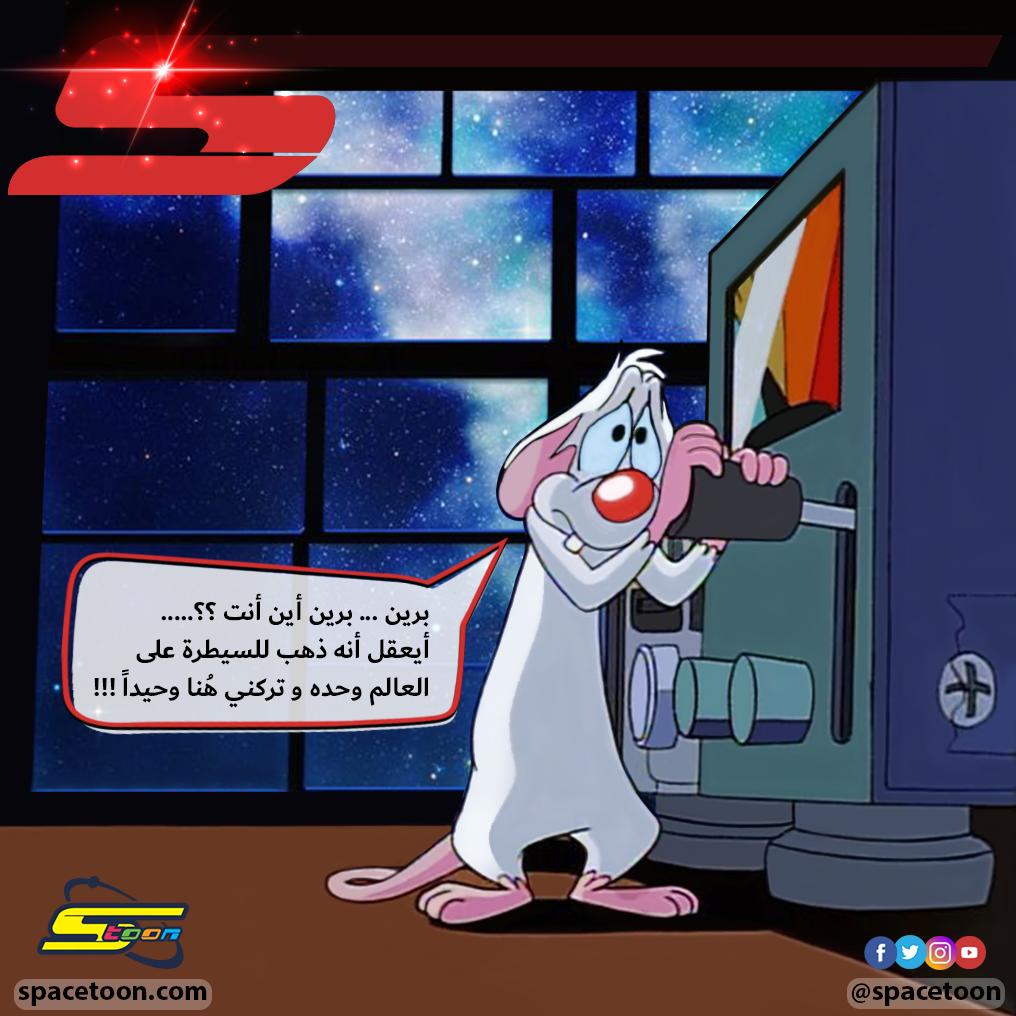 spacetoon's tweet image. للمرة الأولى برين يترك بينكي وحيداً 😕😮!!
هل ذهب للسيطرة على العالم وحده 🤔 أم ليكتشف سر الوميض الأحمر في فضاء #سبيستون 😁 ؟؟

#عيد_سبيستون19 😍🎉
