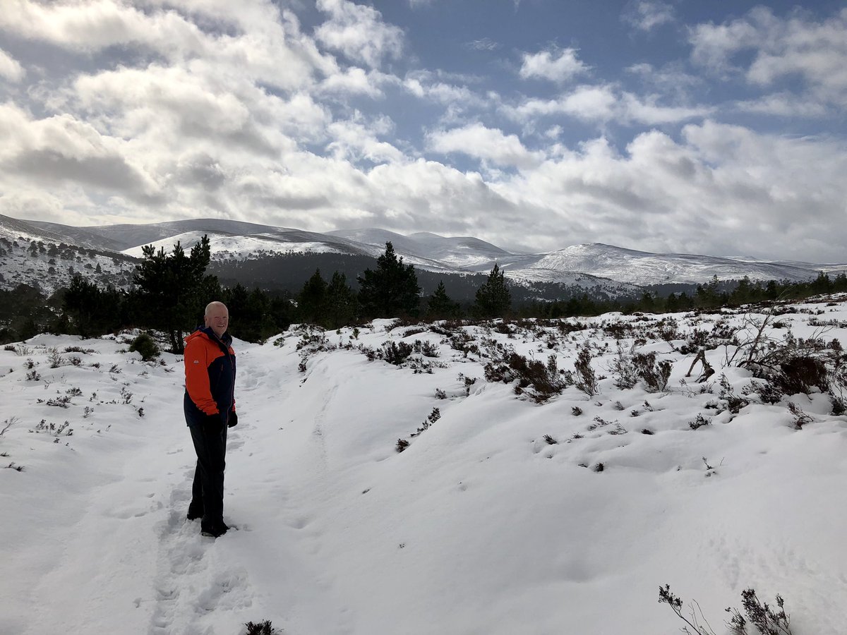 Winter wonderland in Glentanar this afternoon #scotswinter #getoutside #mountainsforthemind