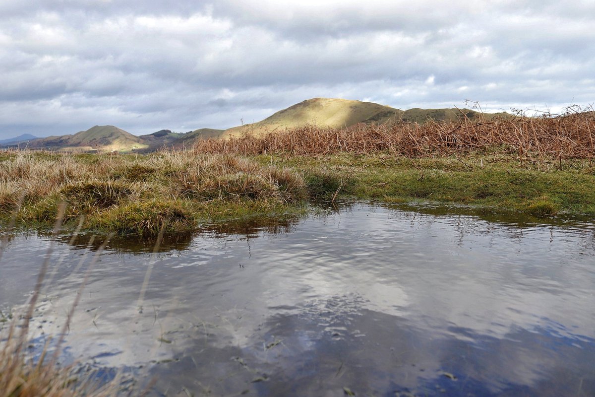 Frogspawn just visible in this pond on the top of the #Longmynd today between snow, sleet and rain showers. Stunning skies with the odd hint that the sun is there somewhere following #StormGareth.
@2peters @nationaltrust @ShropHillsAONB @BBCWthrWatchers #StormHour #ukweather