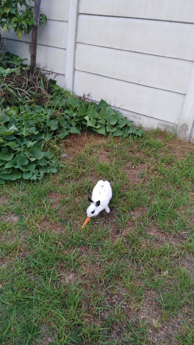 cnelson1884's tweet image. 