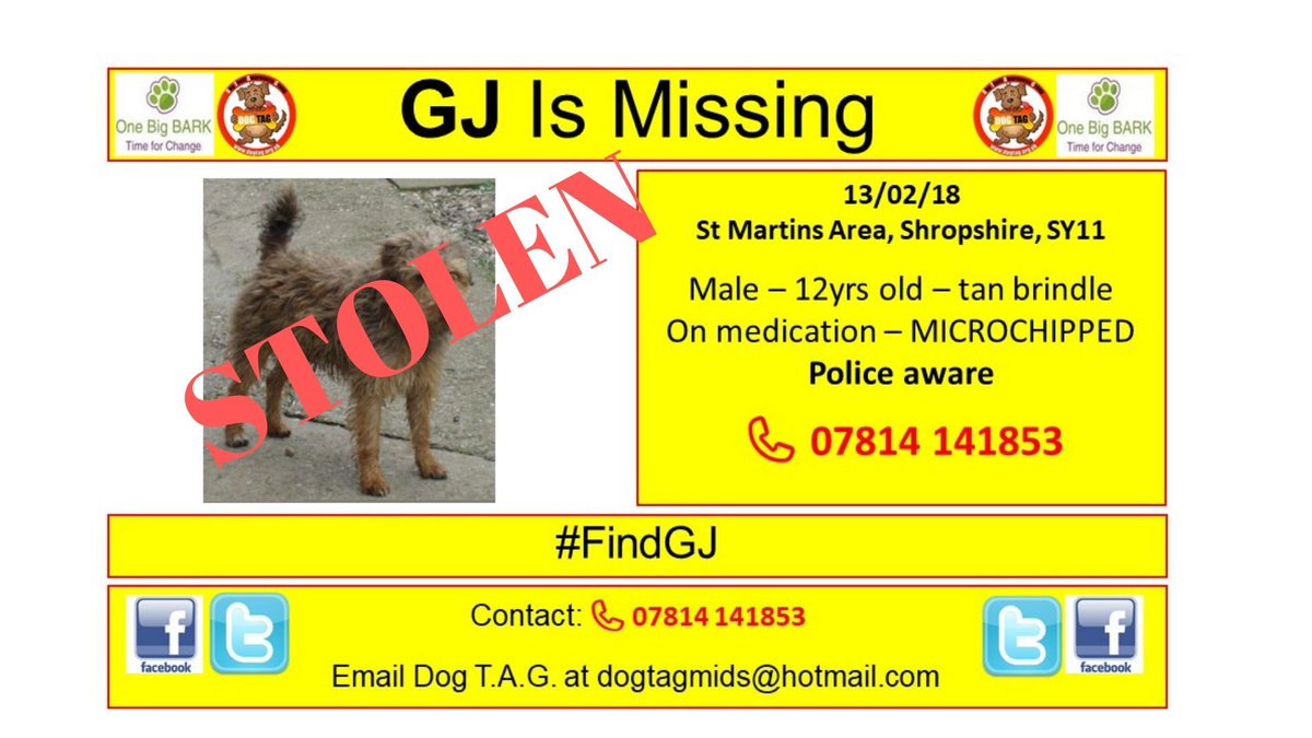 DogTAGMids's tweet photo. STOLEN
Where is GJ
#FindGJ
Missing too long
#pettheftawareness #DogTheftAwarenessDay https://t.co/K5yoXflZqI
