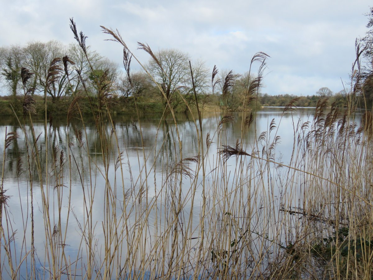 Donna Rainey tweet media