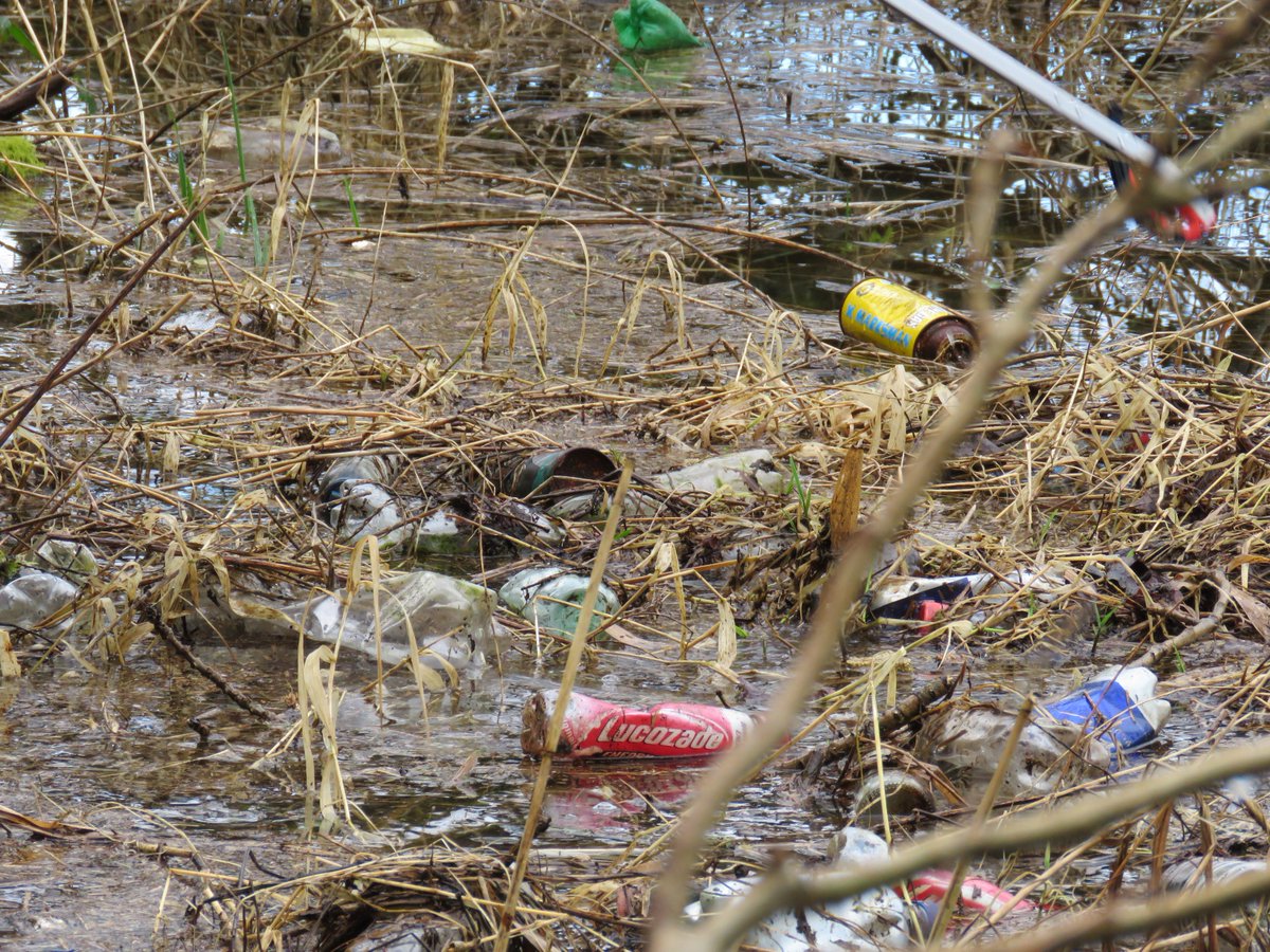 Donna Rainey tweet media