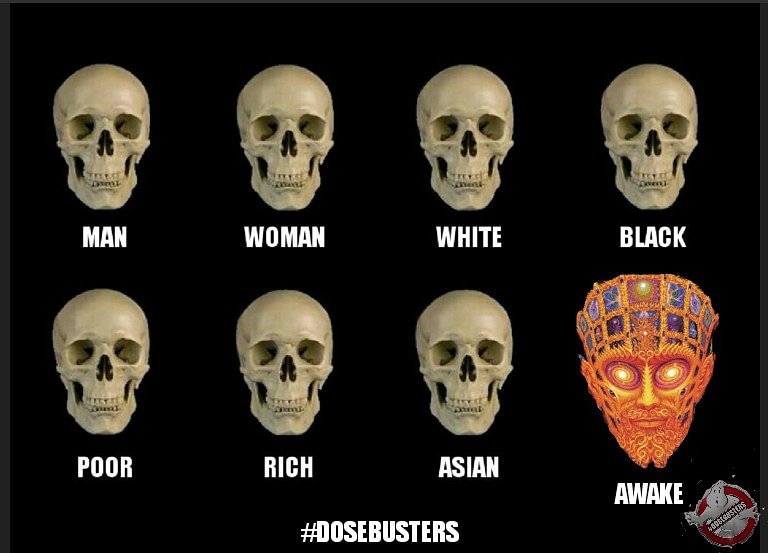 BustersDose's tweet image. #dosebusters