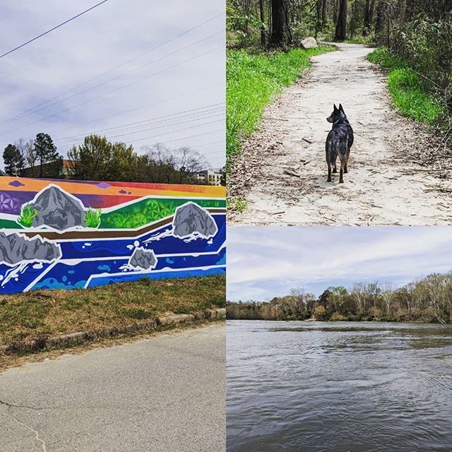 mwdelta12's tweet photo. Sunday's are for the dogs

#blueheelers https://t.co/Zb2vBcZdXt https://t.co/brv4DL8ytD