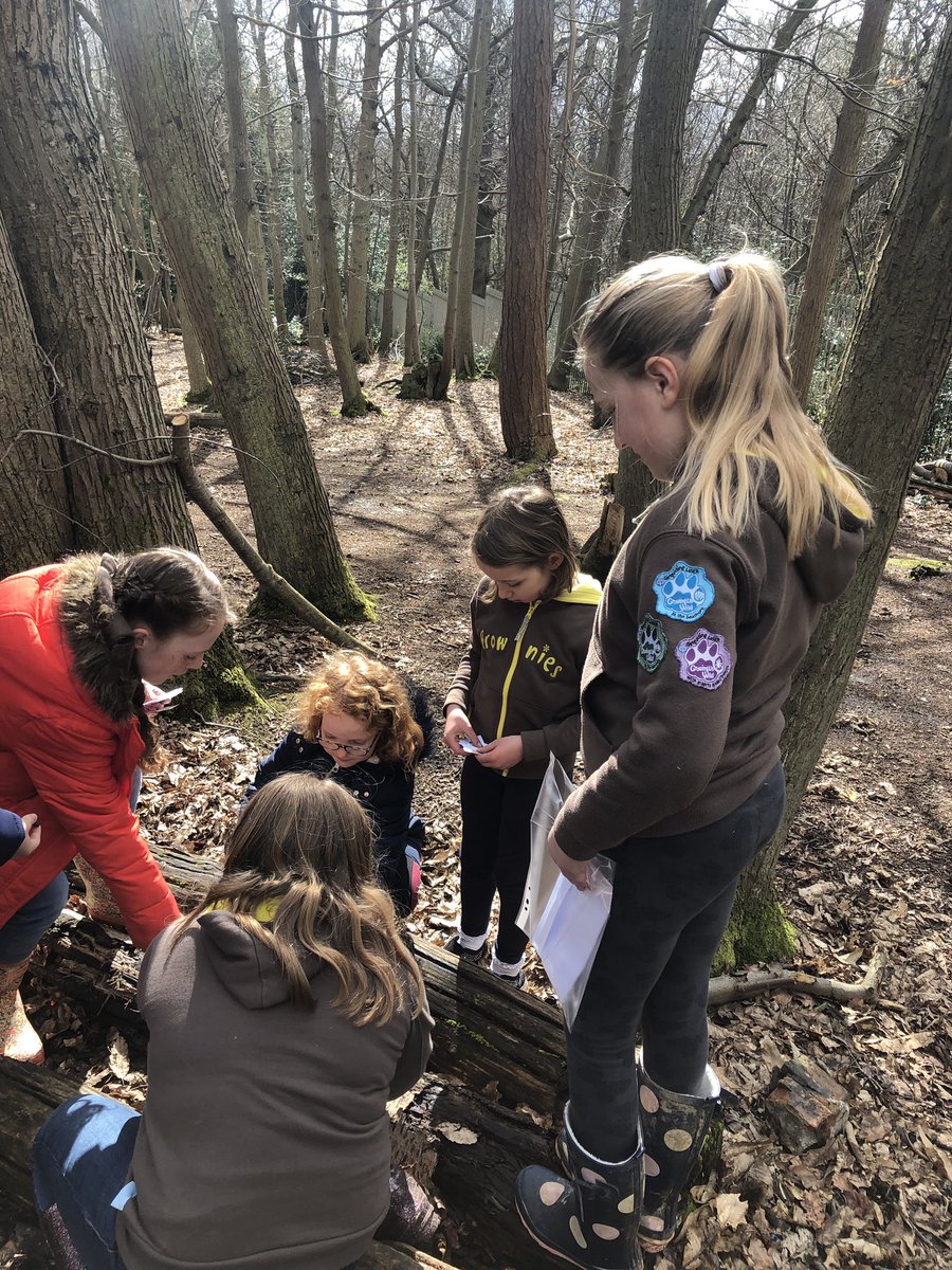 23rd Bromley Brownies tweet media