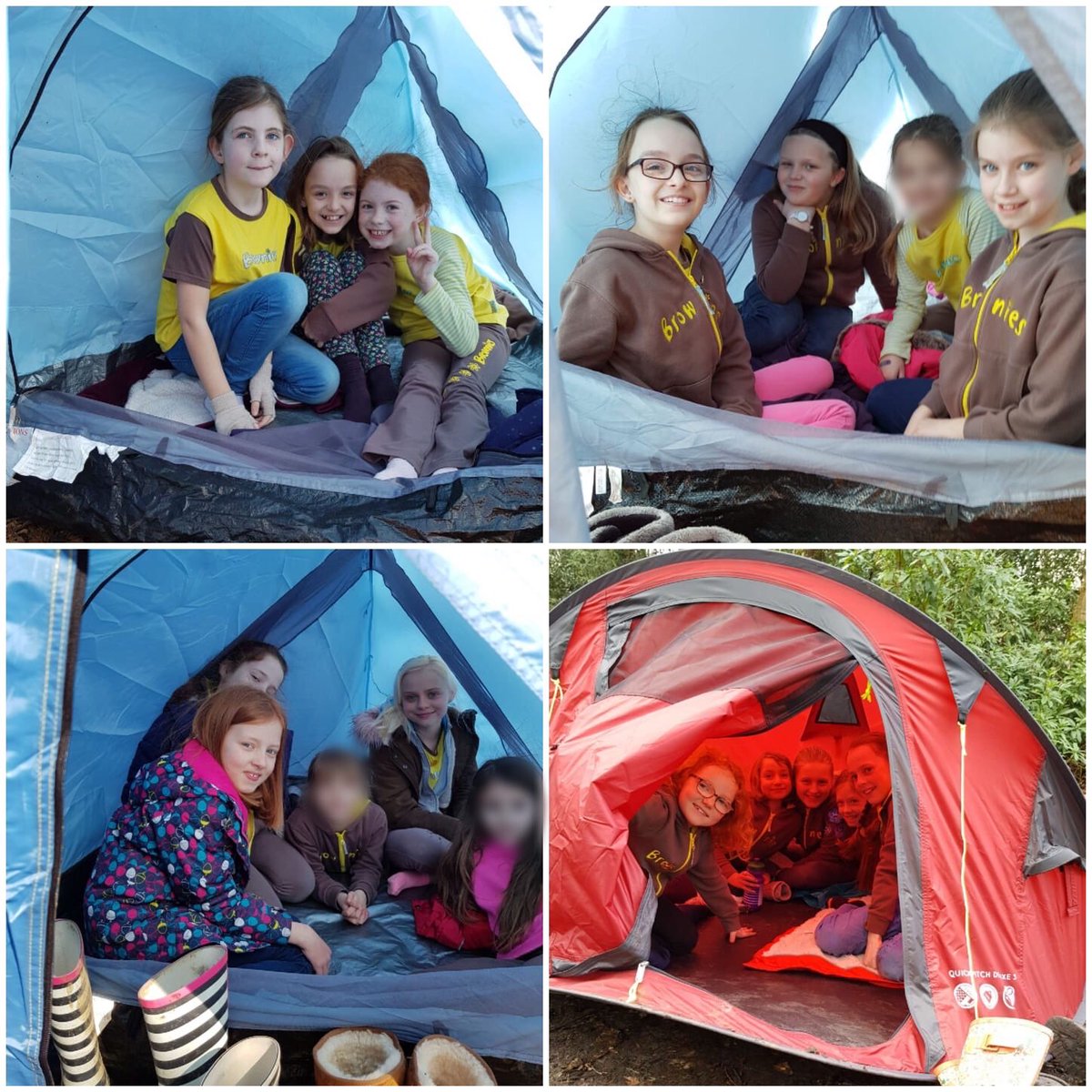23rd Bromley Brownies tweet media