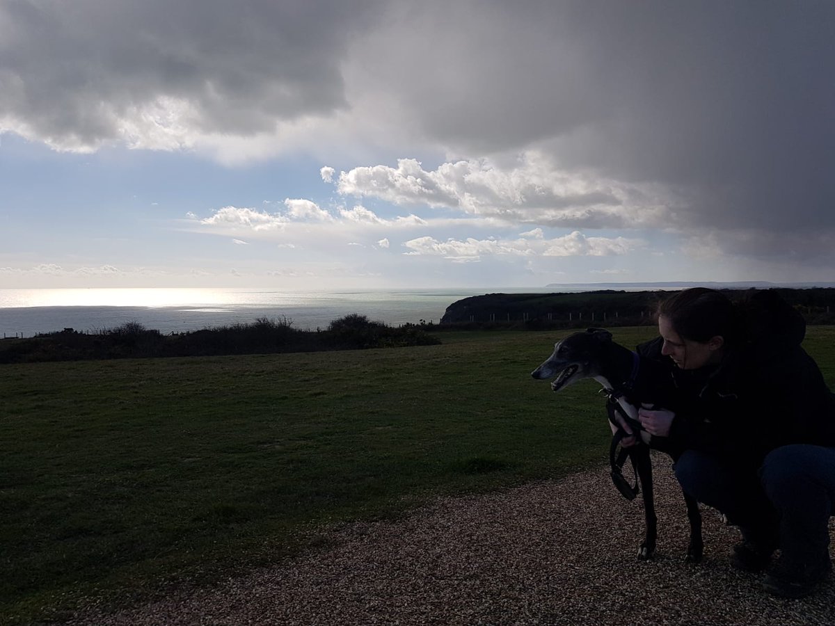 Tn9Greyhound's tweet photo. Nice walk around Hastings Country Park with humans today, well other than the hale it was nice. Ooh and fish and chips for lunch! https://t.co/6F45CRxhMq
