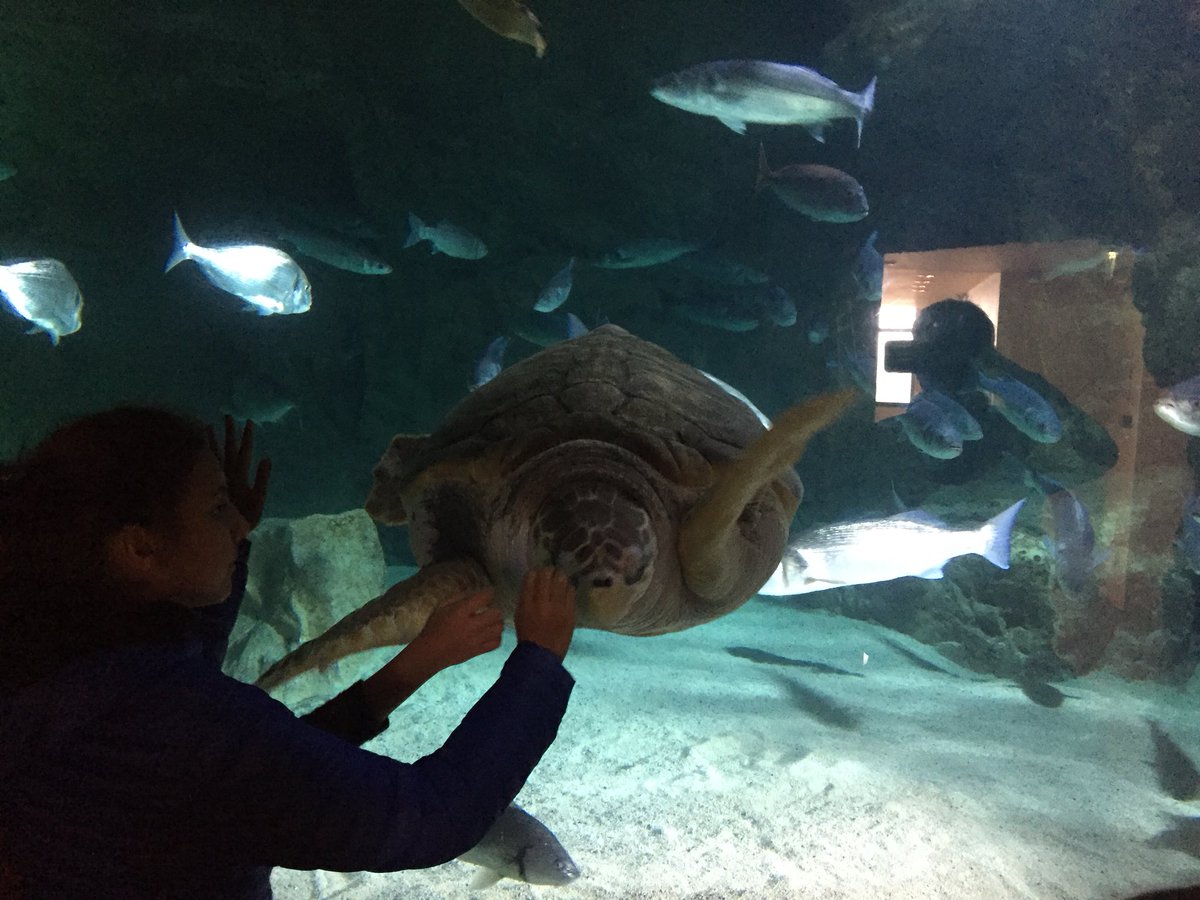 Just returned to the chateau after another great day including a trip to the Biarritz aquarium