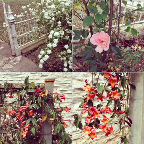 Neill-Cochran House tweet media